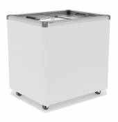 Ларь морозильный Frostor Gellar FG 250 C v25 серый с прямым стеклом