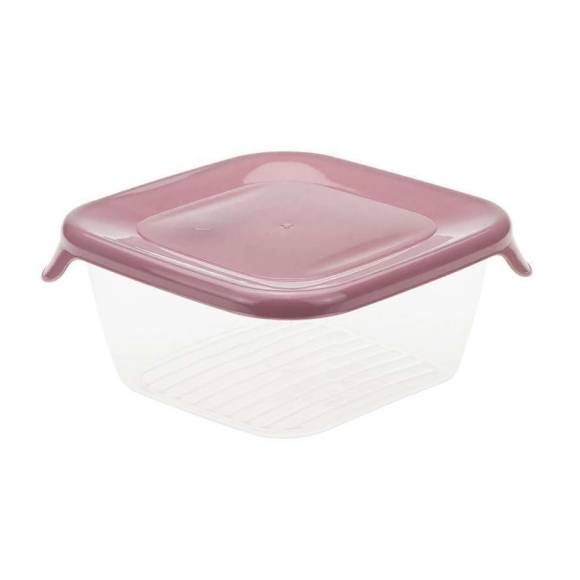 Контейнер для продуктов 0,45л "Практик" разноцветный