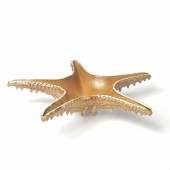 Блюдо 28 см,керамика "Frutti di Mare" P.L. QB23176003 Блюдо 28 см,керамика "Frutti di Mare" P.L. QB23176003