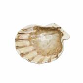 Блюдо 16 см,керамика "Frutti di Mare" P.L. QB23085003