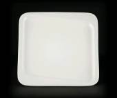 Тарелка мелкая 300х300мм квадратная Sam and Squito (Quadro) JX82-A001-04 фк783.