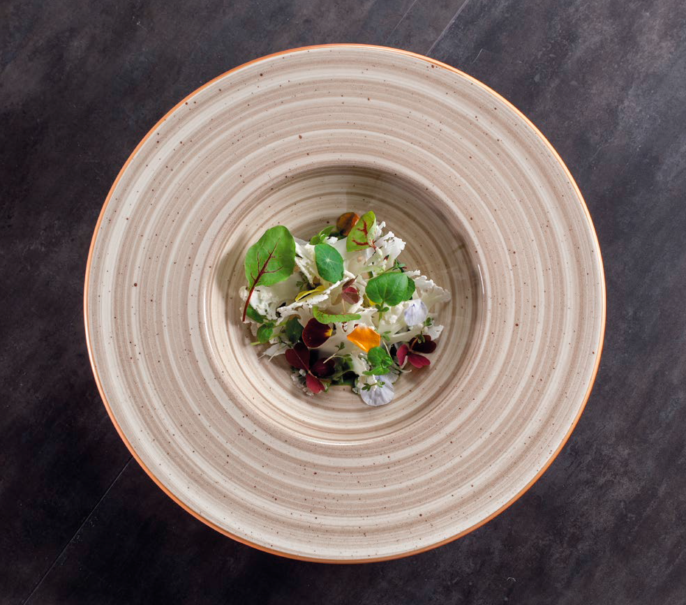 Фарфор Bonna линия Aura Terrain